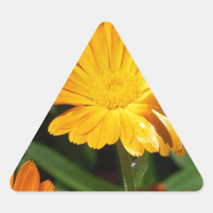 Adesivo Triangular Destino amarelo do amor da paz da arte das flores