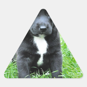 Adesivo Triangular Dor Totalmente Adorável