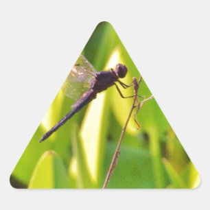 Adesivo Triangular Dragonfly Blue e preto na grama.