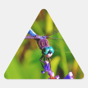 Adesivo Triangular Dragonfly e flor