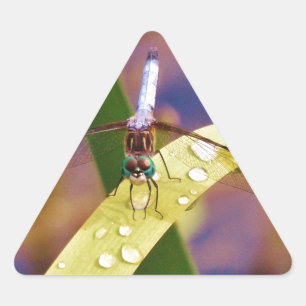 Adesivo Triangular Dragonfly na folha de chuva