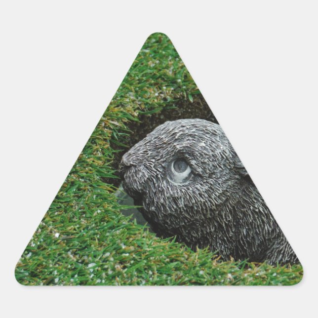 ADESIVO TRIANGULAR DSCF0652.JPG (Frente)