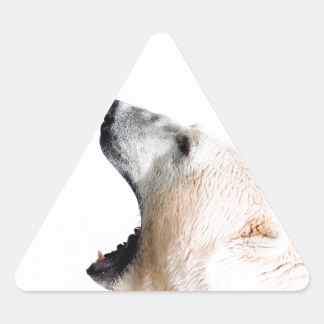 Adesivo Triangular Erva de urso polar (Frente)