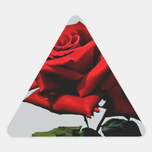 Adesivo Triangular Eventos de Férias de Aniversário do Flor de rosa v
