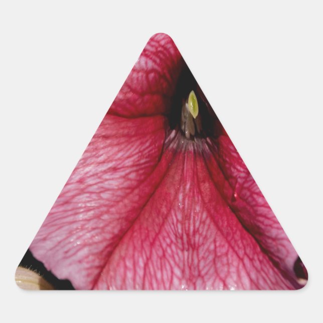 Adesivo Triangular Explosão Floral (Frente)