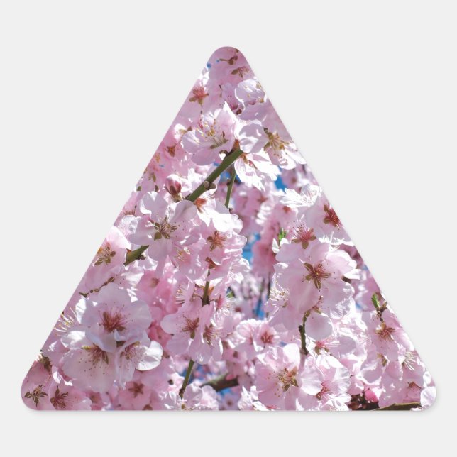 Adesivo Triangular Flor de cereja japonesa (Frente)