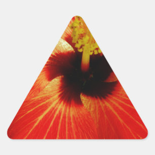 Adesivo Triangular Flor de Hibiscus Vermelho Brilhante