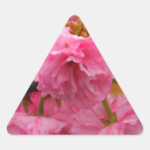 Adesivo Triangular Flores da flor de cerejeira do rosa quente