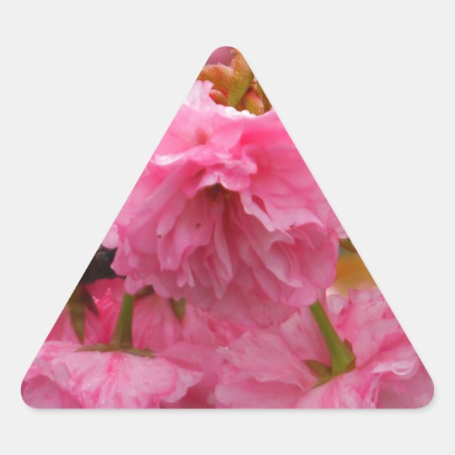 Adesivo Triangular Flores de Flor de Cereja Rosa Quente (Frente)