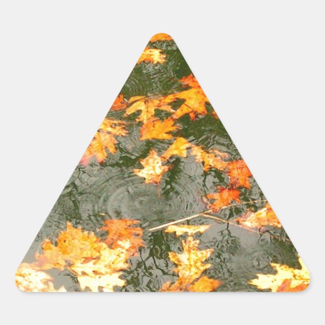 Adesivo Triangular folhas caídas na chuva (Frente)