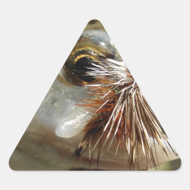 Adesivo Triangular Foto do Rainbow Trout (Frente)