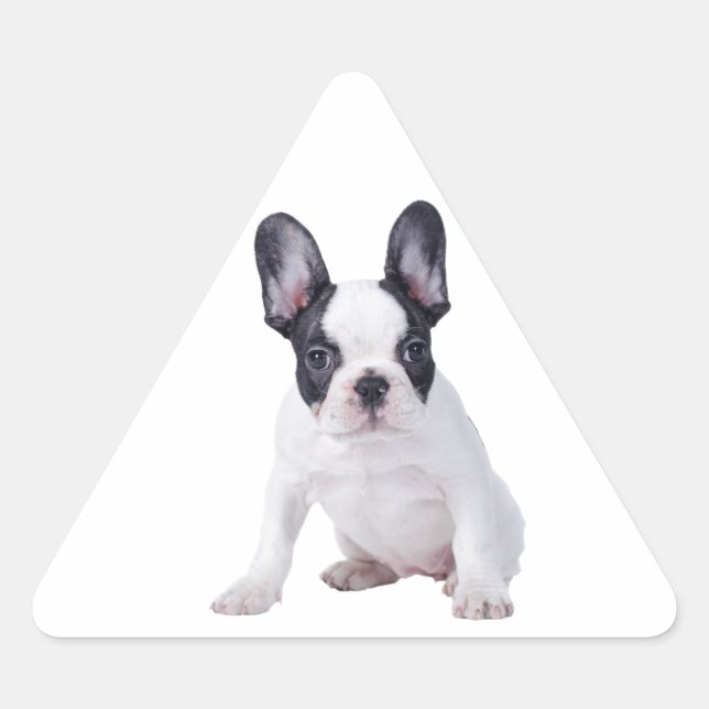 Adesivo Triangular Frenchie - cachorrinho francês (Frente)