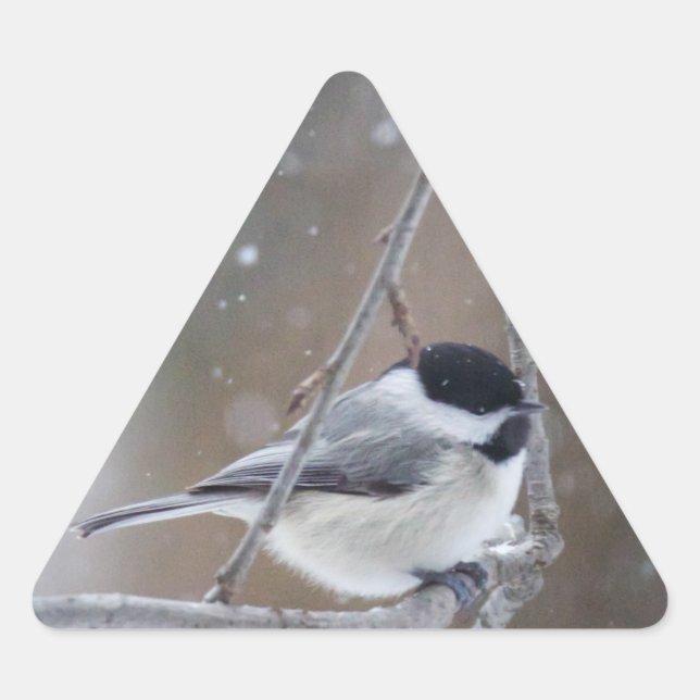 Adesivo Triangular Galinha de casaco preto - passarinho (Frente)