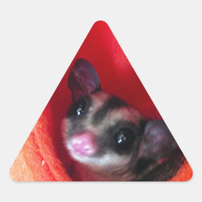 Adesivo Triangular Glider de Açúcar na Cama Laranja (Frente)