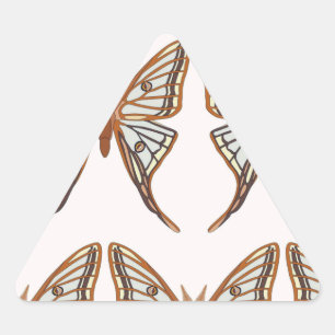 Adesivo Triangular "Graellsia isabellae ou lua espanhola"