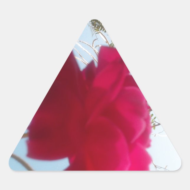 Adesivo Triangular Heavenly Bloom: Um Rosa Contra o Céu (Frente)