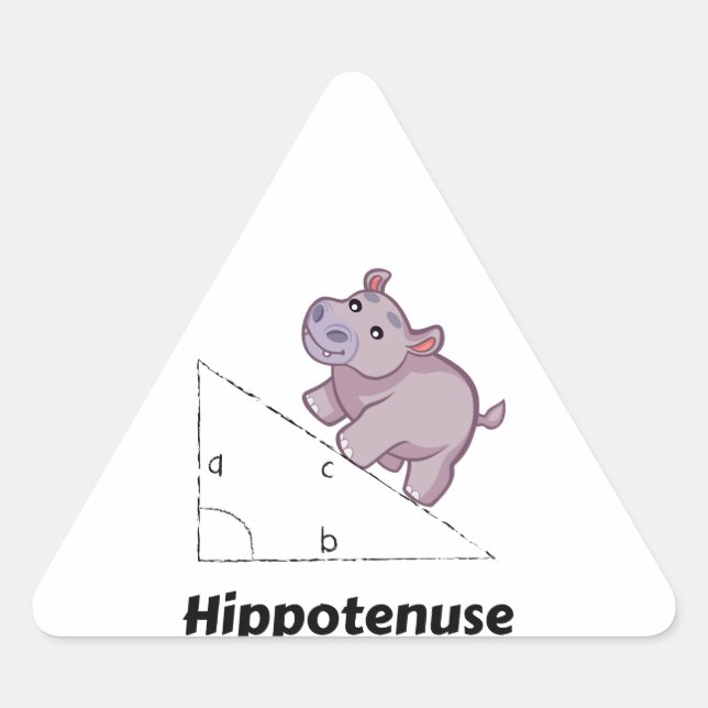 Adesivo Triangular Hippotenuse Engraçado Math (Frente)