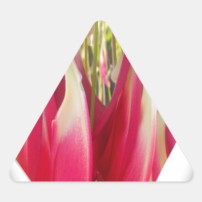 Adesivo Triangular Impressão artística de coração floral (Frente)