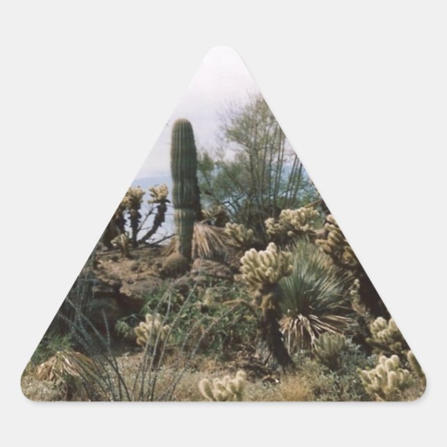 Adesivo Triangular Jardim Cactus (Frente)