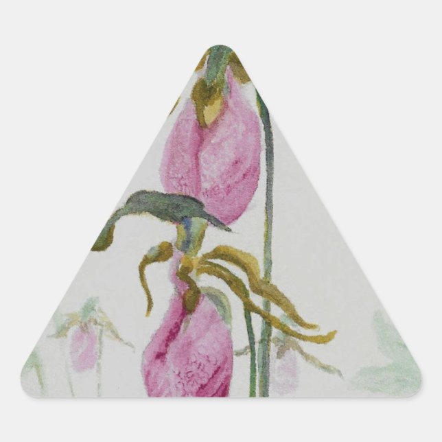 Adesivo Triangular Lady Slippers (Frente)