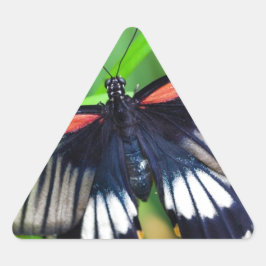 Adesivo Triangular Linda borboleta negra, branca e vermelha