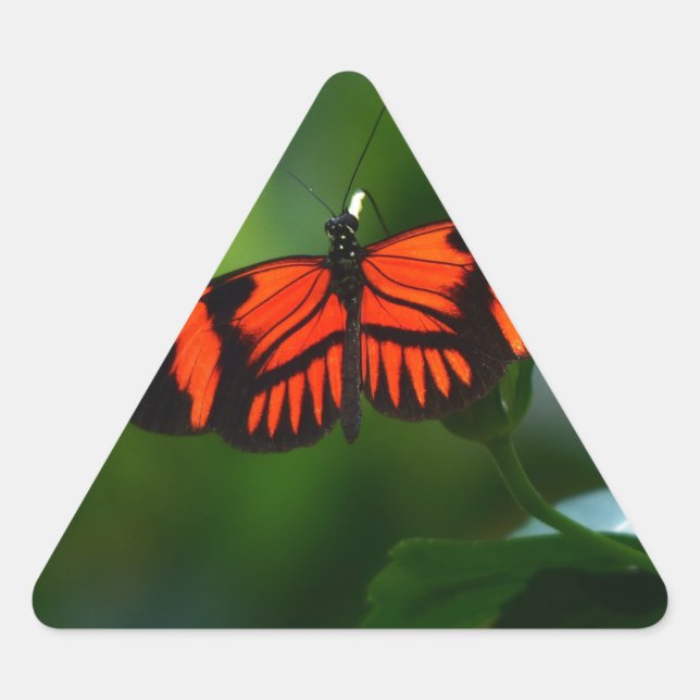 Adesivo Triangular Linda borboleta vermelha e negra (Frente)