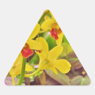 Adesivo Triangular Lindas orquídeas de outono amarelas