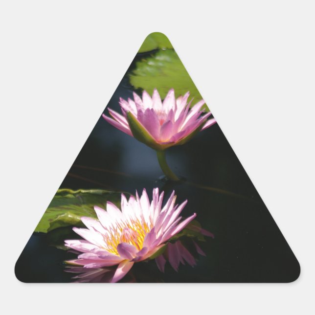 Adesivo Triangular Lírios de água roxa-rosa (Frente)