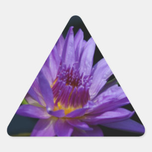 Adesivo Triangular Lotus