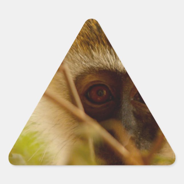 Adesivo Triangular Macaco Cheeky. (Frente)