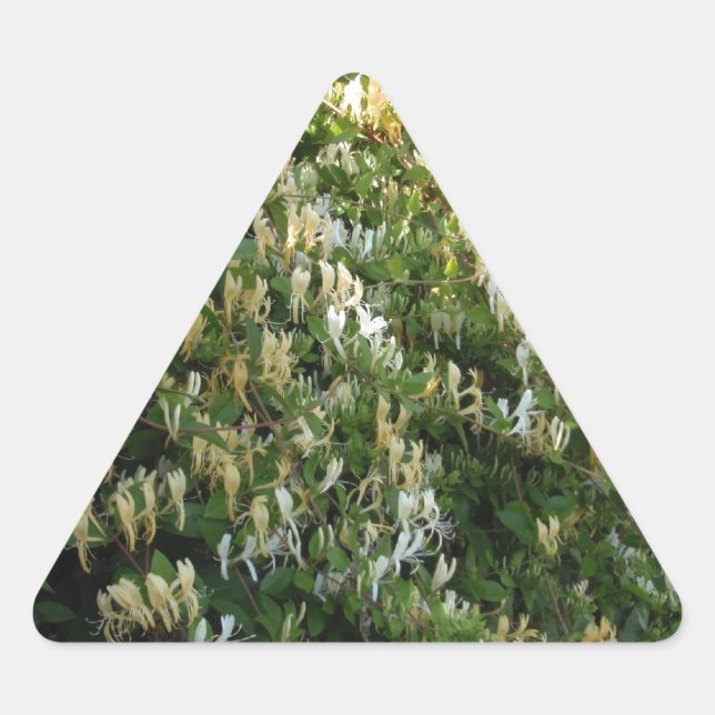 Adesivo Triangular Madressilva Numa Parede (Frente)