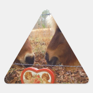 Adesivo Triangular Miniatura Macaco e Coração de Namorados de Cavalo