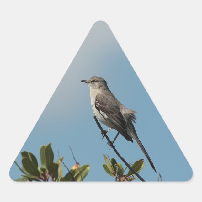 Adesivo Triangular Mockingbird Sticker (Frente)