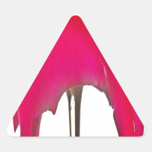 Adesivo Triangular Momento Capturado: Uma Elegância Petal Rosa vermel