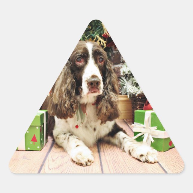Adesivo Triangular Natal - Inglês Springer Spaniel - Logan (Frente)