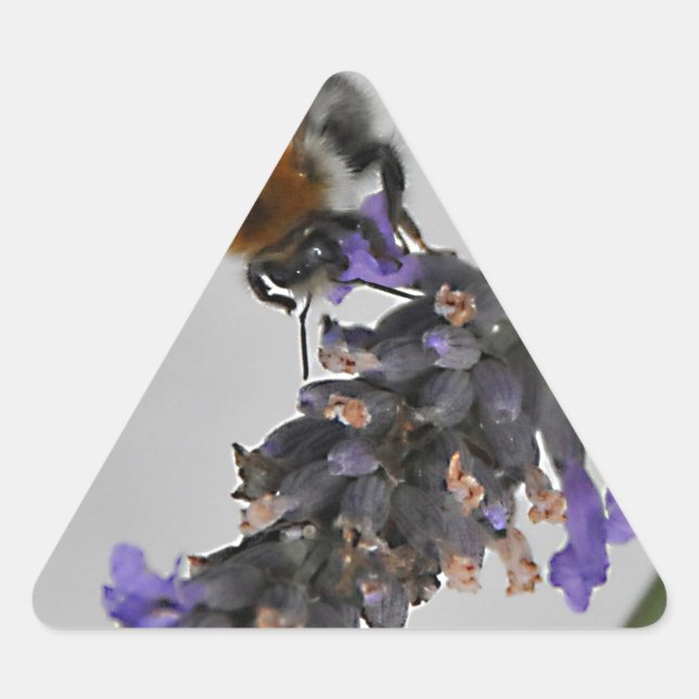 Adesivo Triangular Natures WonMaravilha Workers (Frente)