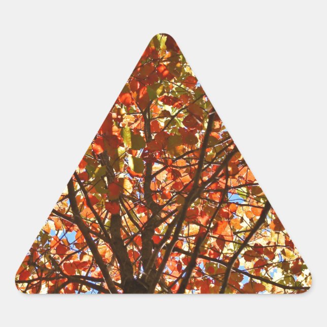 Adesivo Triangular O outono deixa fogos de artifício (Frente)