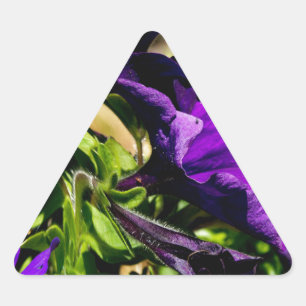 Adesivo Triangular Pânico Roxo