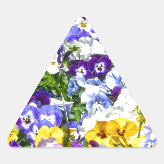 Adesivo Triangular Pansias (Frente)