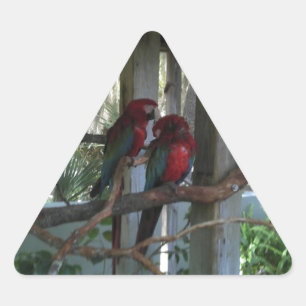Adesivo Triangular Papagaio