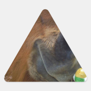 Adesivo Triangular Páscoa Bunny e Cavalo Marrom