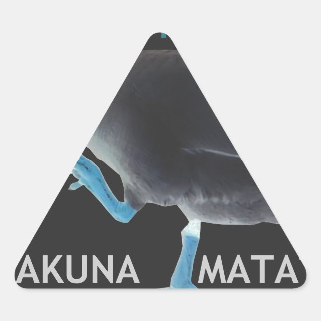 Adesivo Triangular Pato com eu acordei como este texto do & Hakuna Ma (Frente)