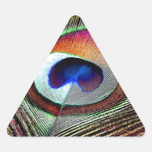 Adesivo Triangular Pena Colorida de Pavão de Cobre