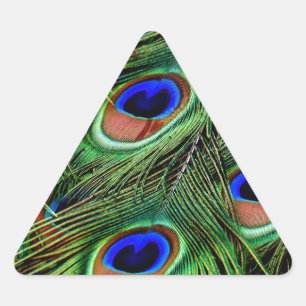 Adesivo Triangular Penas de Peacock