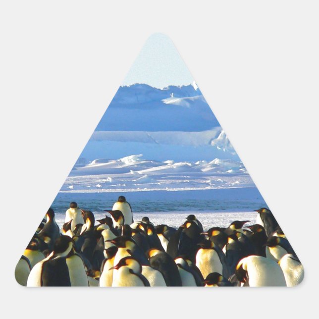 Adesivo Triangular Pinguins imperadores (Frente)