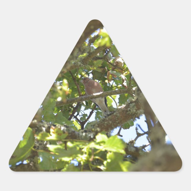 Adesivo Triangular Pintassilgo-real (Frente)