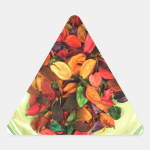 Adesivo Triangular Potes Coloridos: Uma Exposição Aromática