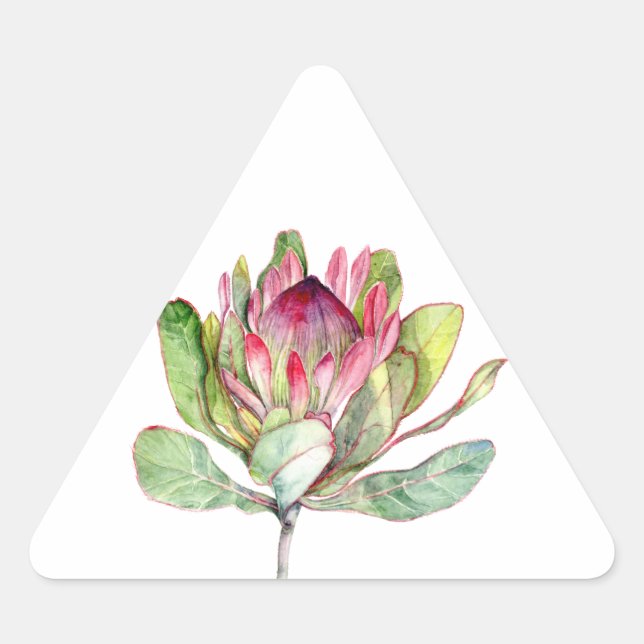 Adesivo Triangular Protea Flor (Frente)