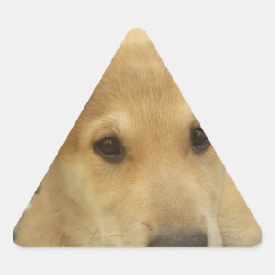 Adesivo Triangular Puppy Love: Melhor Amigo do Homem