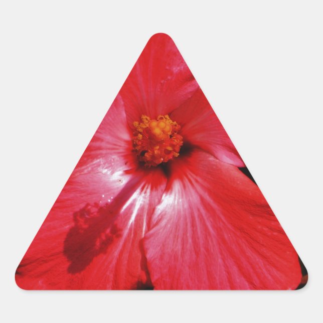 Adesivo Triangular Red Hibiscus (Frente)